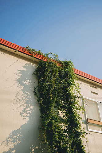 Kimura Hinamiの作品