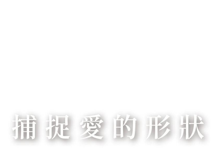 Zf捕捉愛的形狀