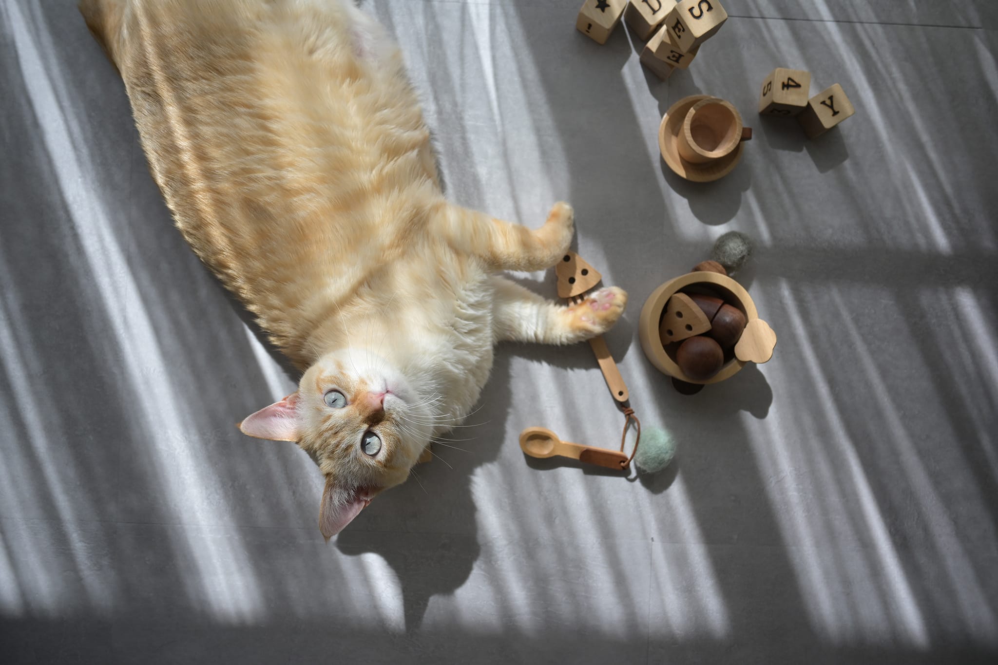 Z5II 24-50 鏡頭組