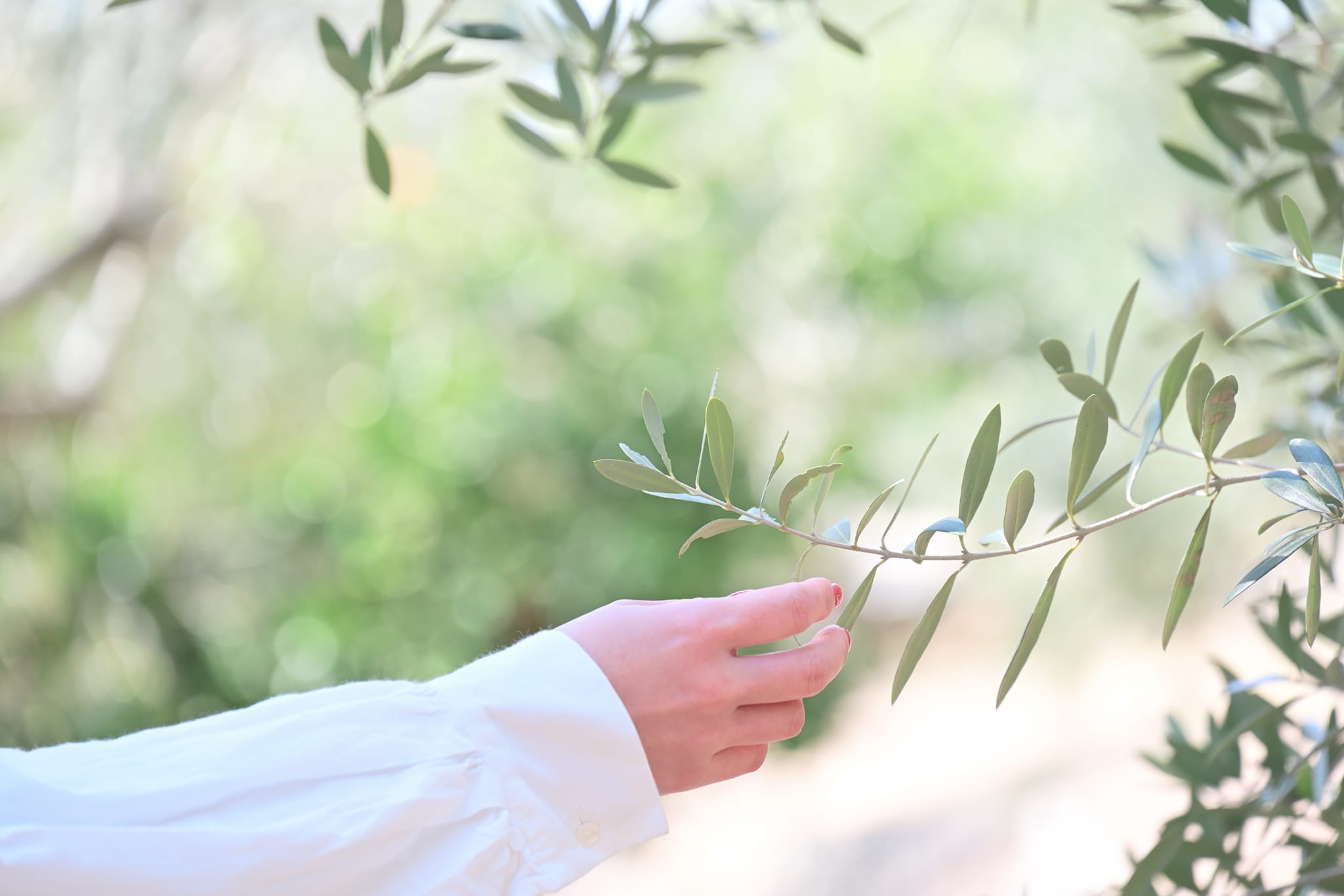 Z5II 24-200 鏡頭組